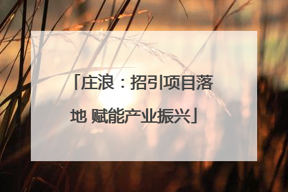 庄浪：招引项目落地 赋能产业振兴